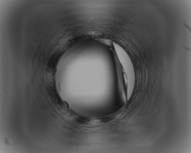 X0000092210609200710121130