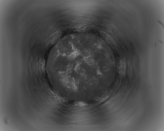 X0000092210610200710121130