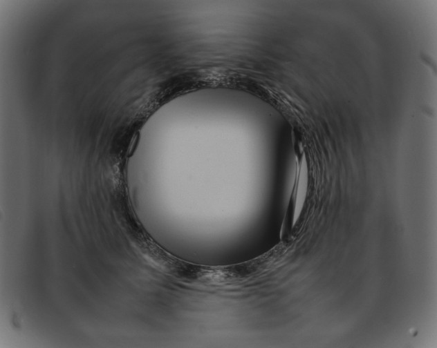 X0000092210611200710121130