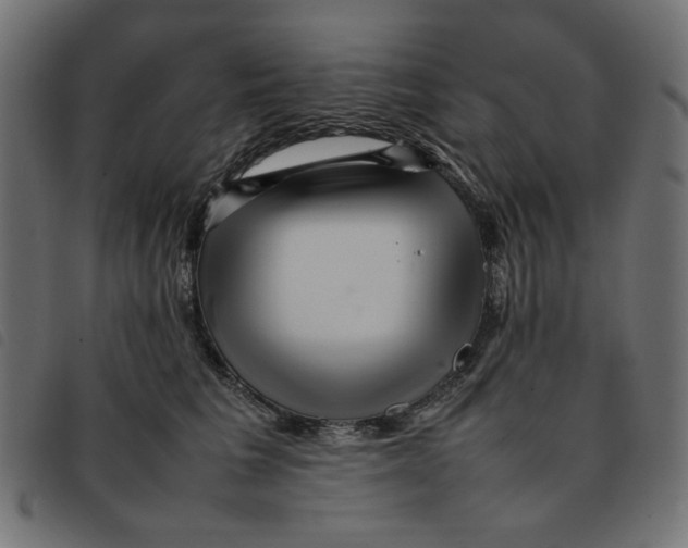 X0000092210613200710121130