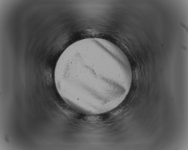 X0000092210615200710121130