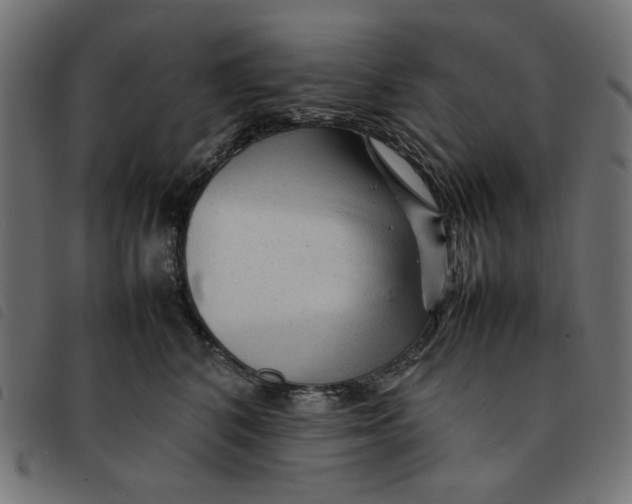 X0000092210616200710121130