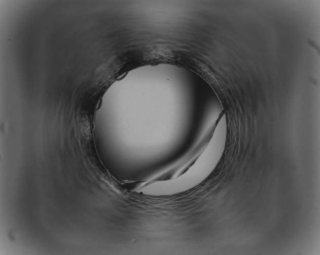 X0000092210617200710121130