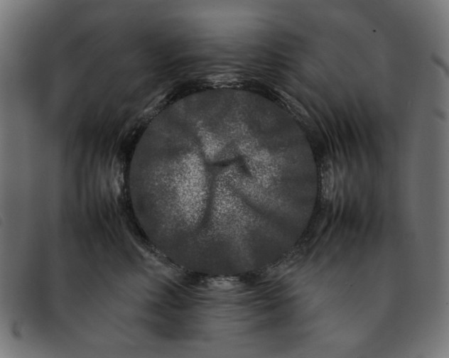 X0000092210618200710121130