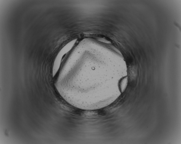 X0000092210619200710121130