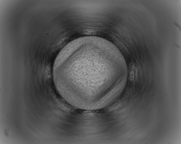 X0000092210620200710121130