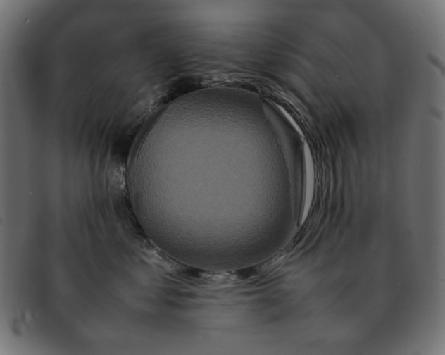 X0000092210621200710121130