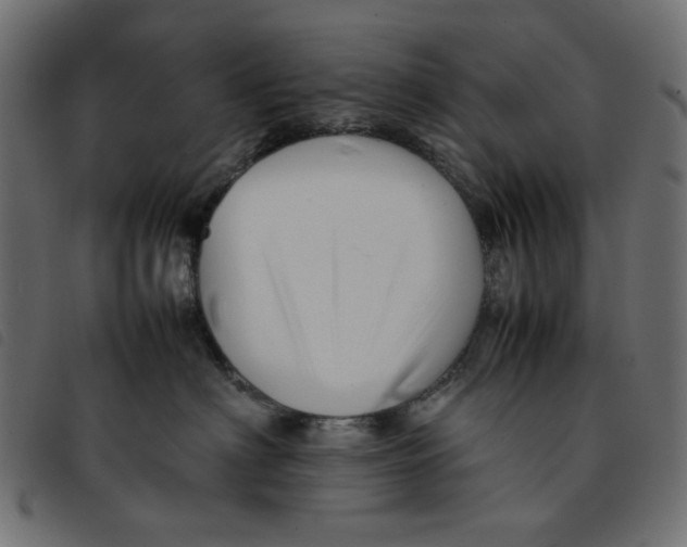 X0000092210622200710121130