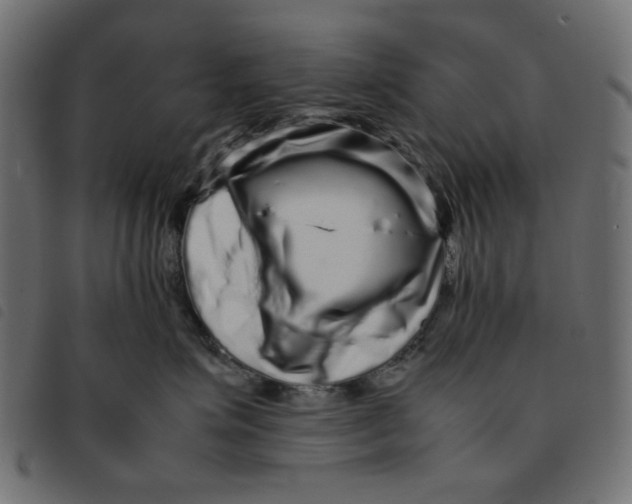 X0000092210623200710121130