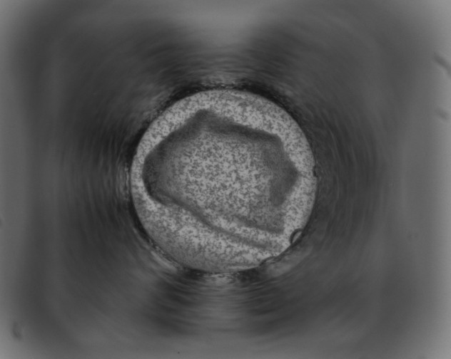 X0000092210624200710121130
