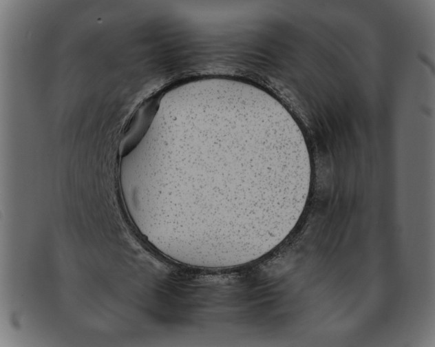 X0000092210625200710121129