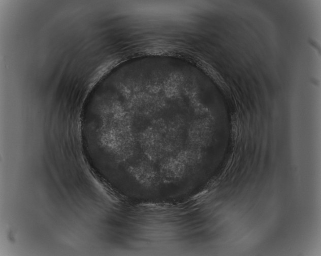 X0000092210626200710121129