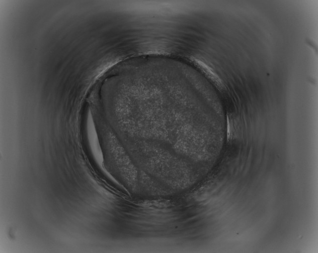 X0000092210627200710121129