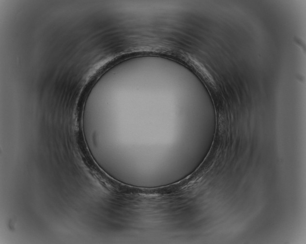 X0000092210628200710121129