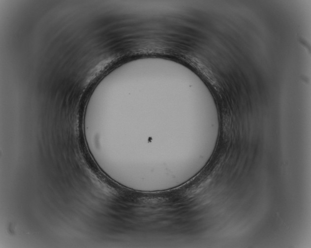 X0000092210629200710121129