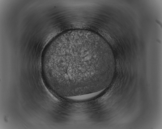 X0000092210630200710121129
