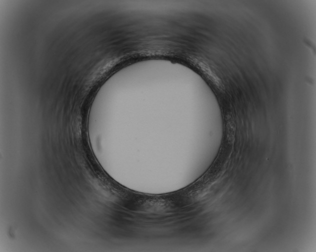 X0000092210631200710121129