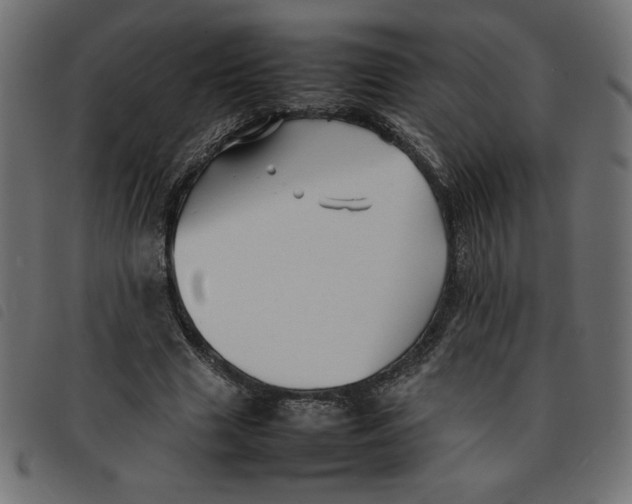X0000092210633200710121129