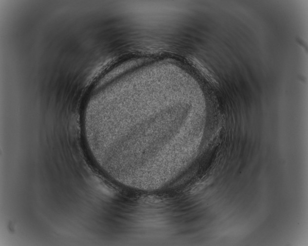 X0000092210634200710121130