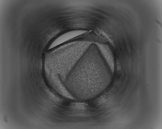 X0000092210637200710121130