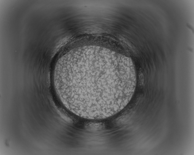 X0000092210638200710121130