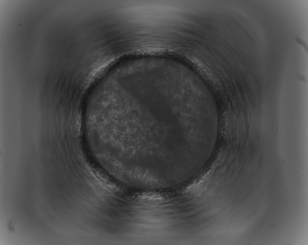 X0000092210640200710121130