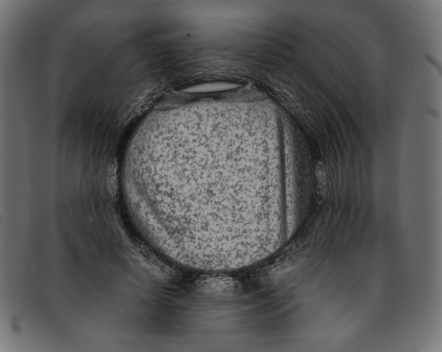 X0000092210642200710121130