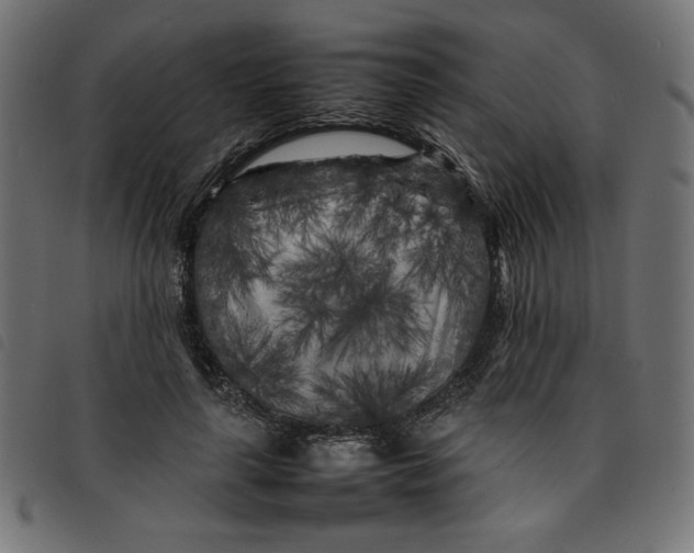 X0000092210643200710121130