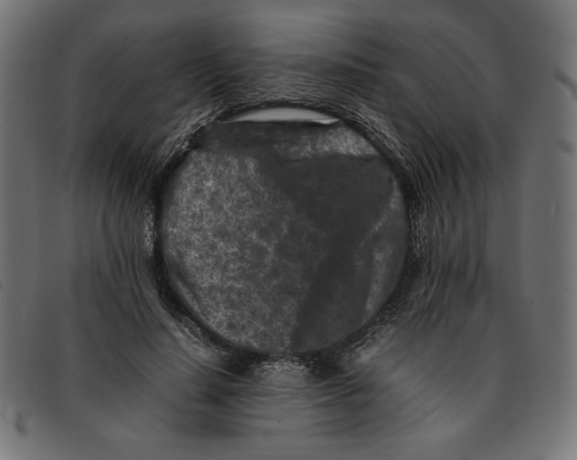 X0000092210644200710121130