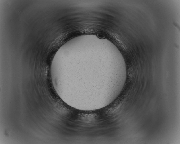 X0000092210645200710121130