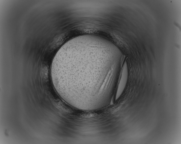 X0000092210646200710121130