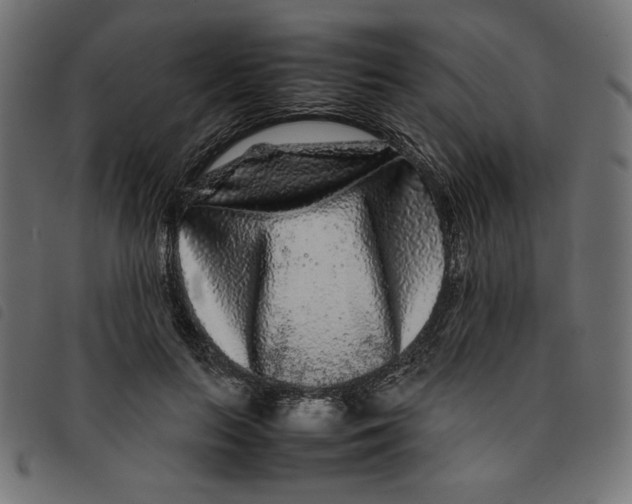 X0000092210647200710121130