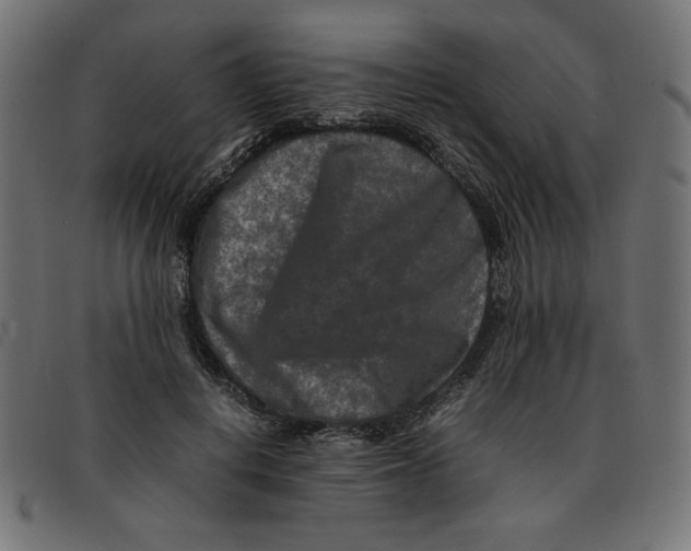 X0000092210648200710121130