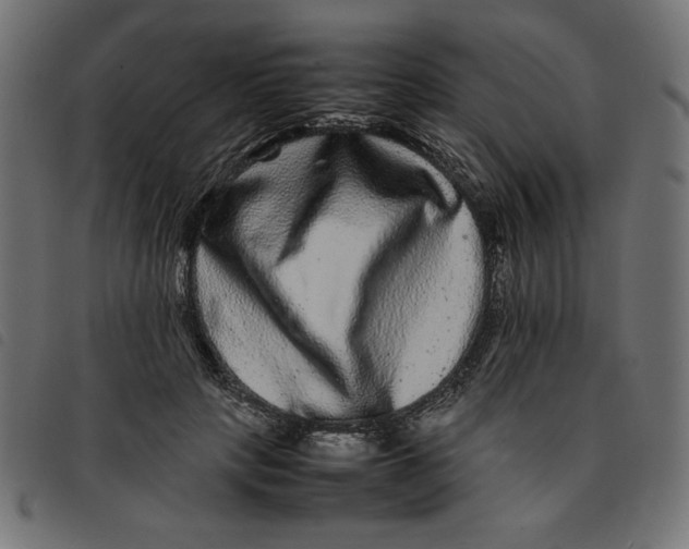 X0000092210649200710121130