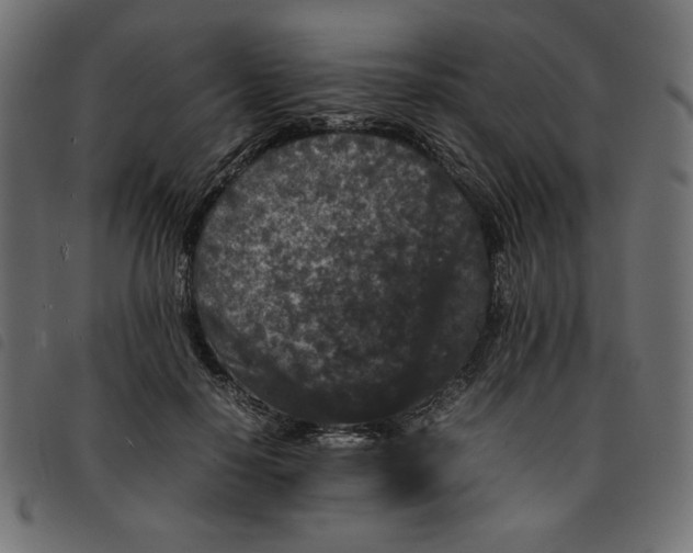 X0000092210650200710121130