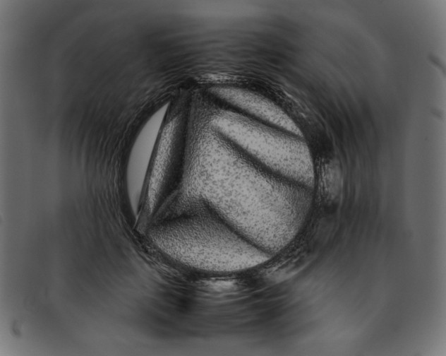 X0000092210651200710121130