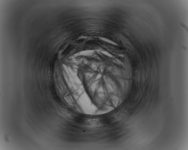 X0000092210653200710121130
