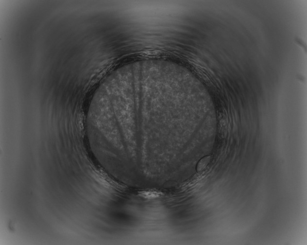 X0000092210654200710121130