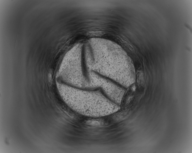 X0000092210655200710121130