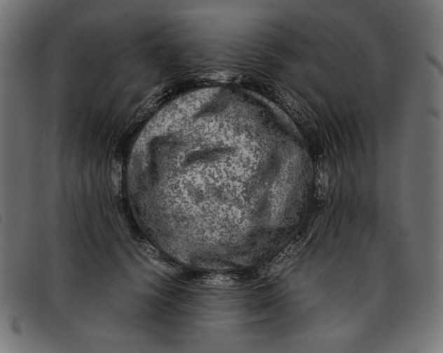 X0000092210656200710121130