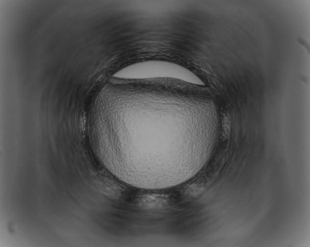 X0000092210657200710121130