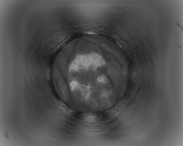 X0000092210658200710121130