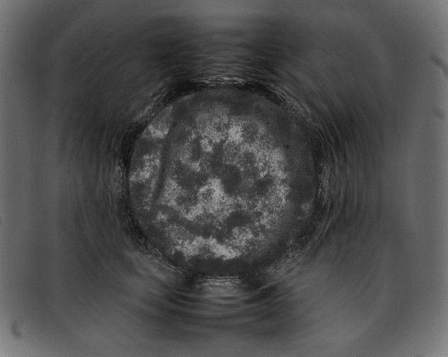 X0000092210659200710121130