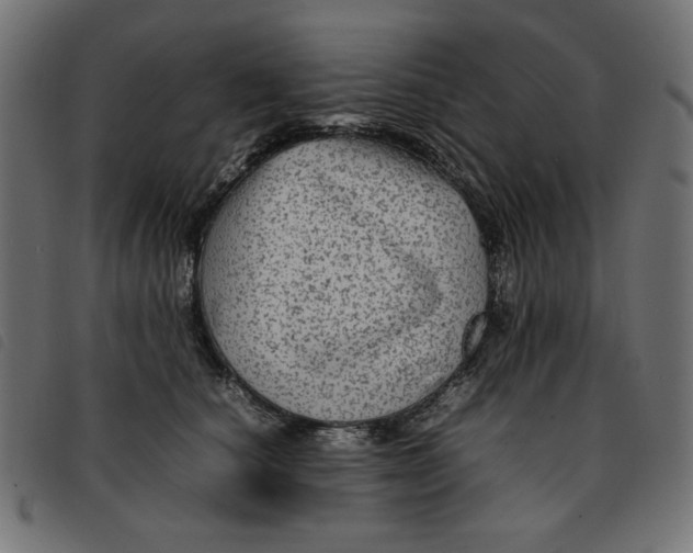 X0000092210660200710121130