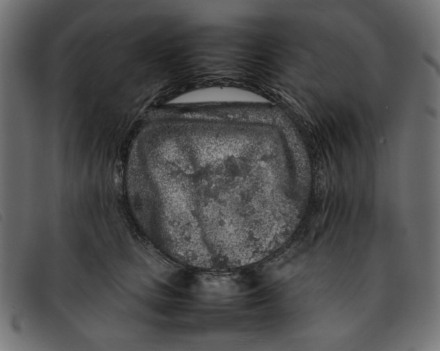 X0000092210661200710121130
