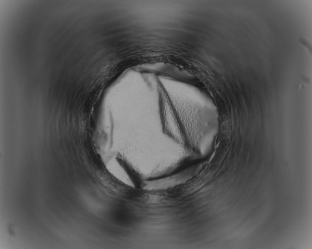 X0000092210662200710121130