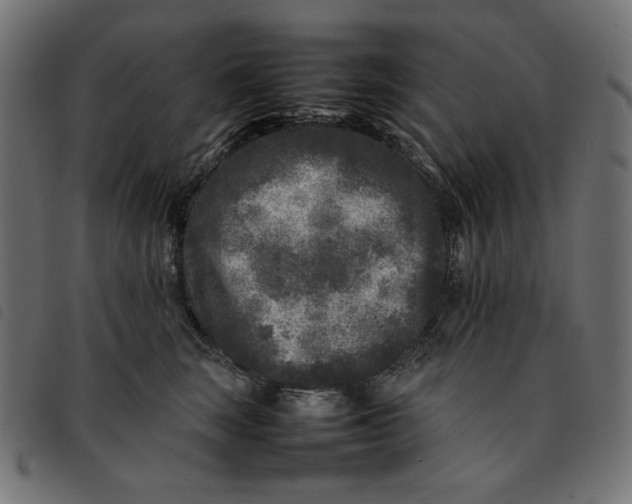 X0000092210663200710121130