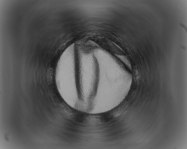 X0000092210664200710121130