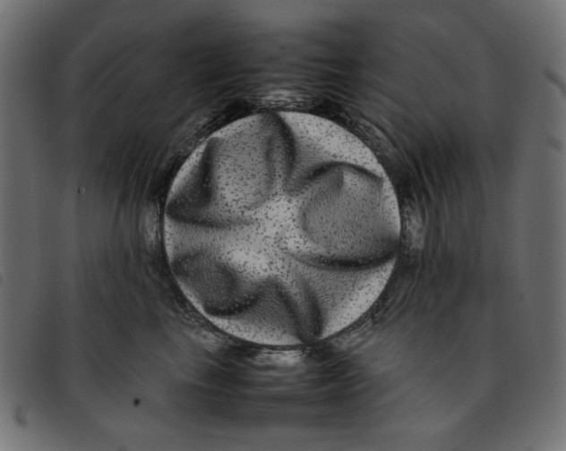 X0000092210665200710121130