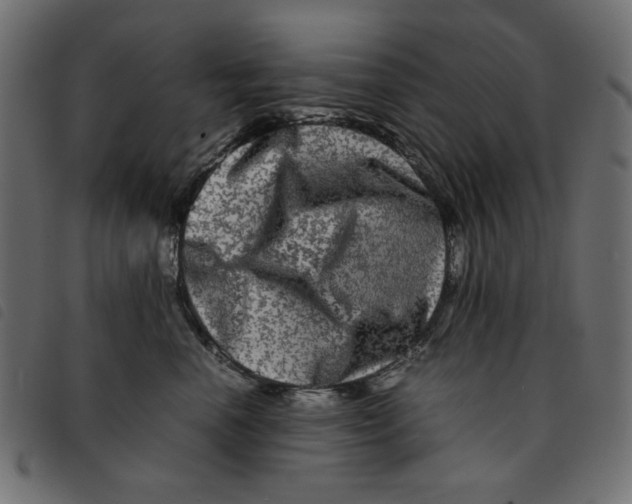 X0000092210666200710121130